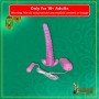 Crystal Jellies Pink Anal Starter Dildo