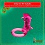 Dolphin Cock Ring Vibrator