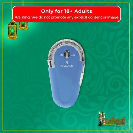 Lady's Lighter Vibrator