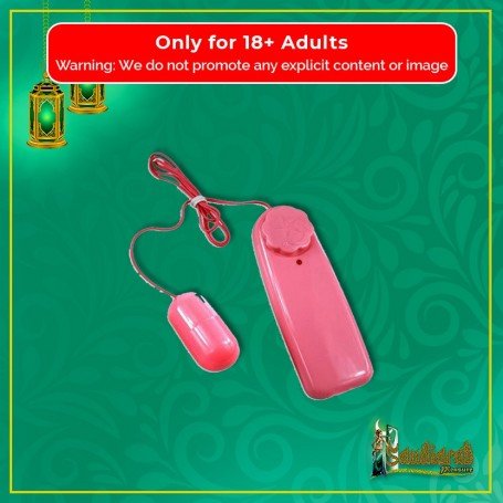 Bullet Vibrator 2 in 1