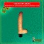 Realistic Penis with Vibrations And Real Feel Balls