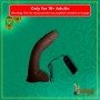 Big Bent 10" Realistic Vibrator Suction Cup Chocolate Dong Vibrator
